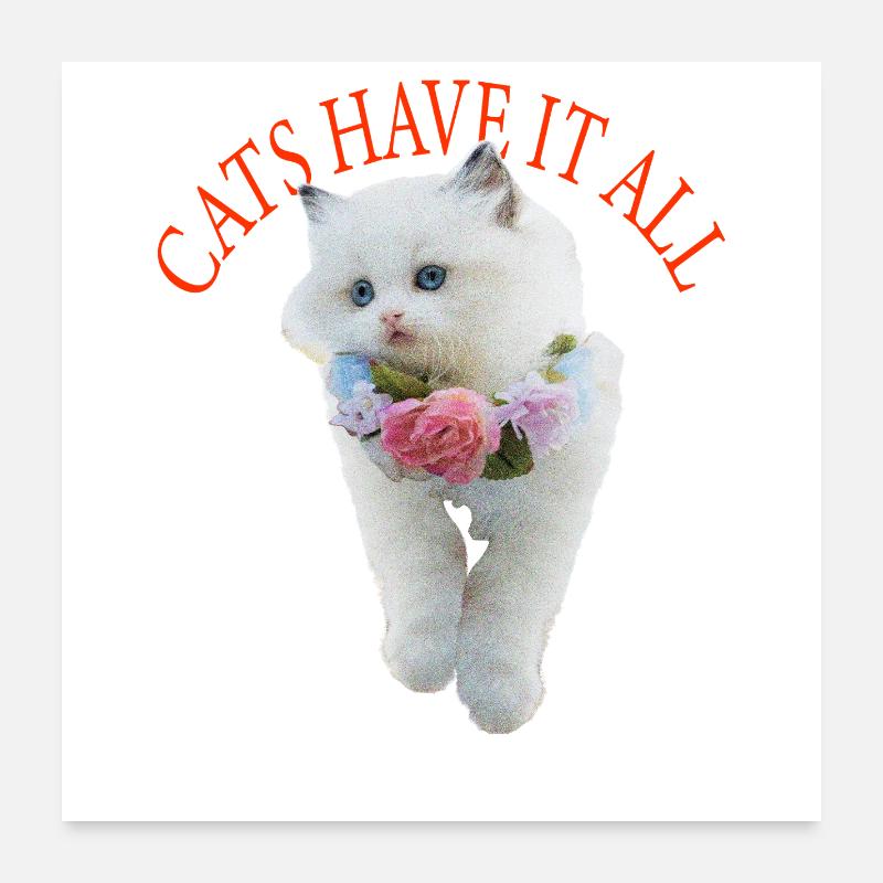 Sassy Katze Poster 60x60 cm