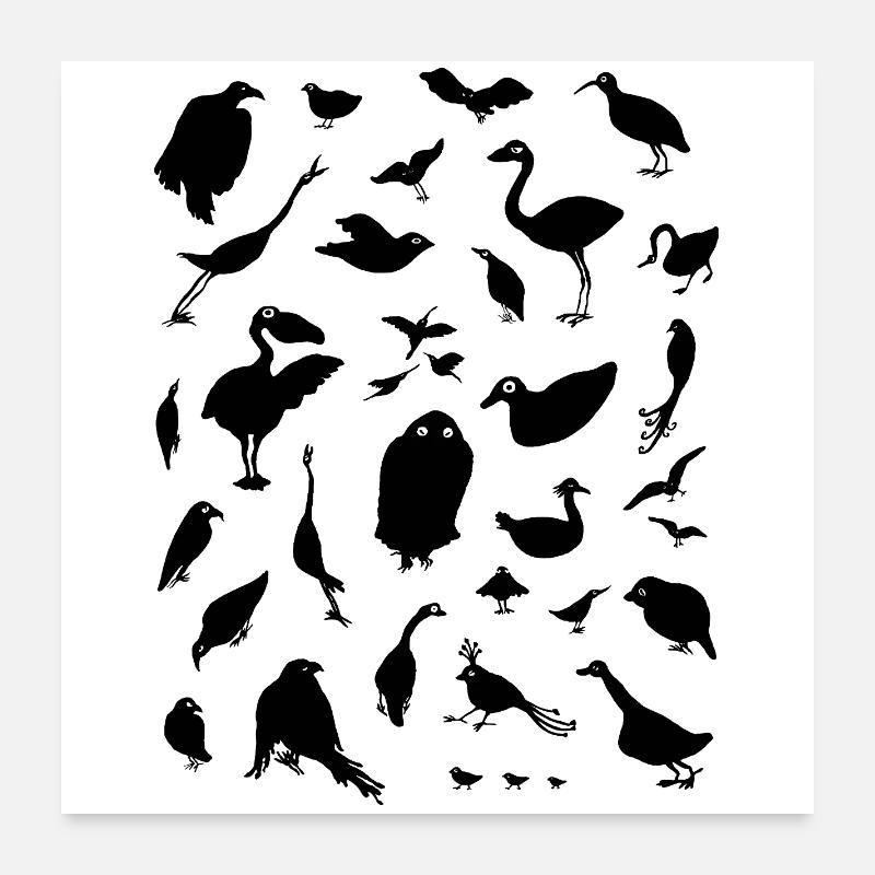 BIRDS Poster 24" x 24" (60x60 cm)