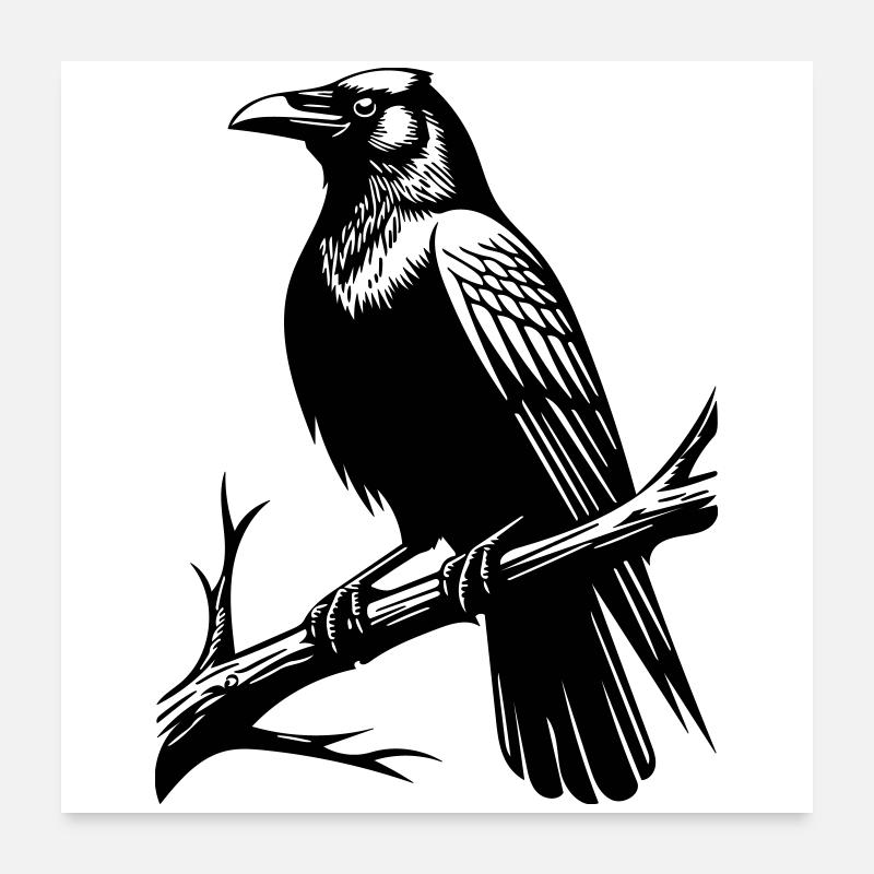 Corbeau Poster 60 x 60 cm