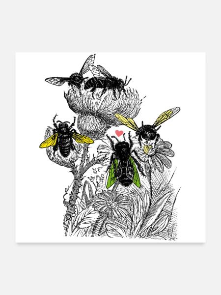 Bienen auf Blüten - Poster 60x60 cm - Weiß
