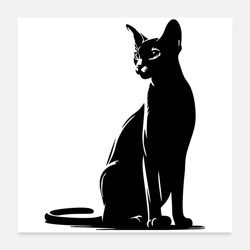 Abyssinian Cat Poster 24" x 24" (60x60 cm)