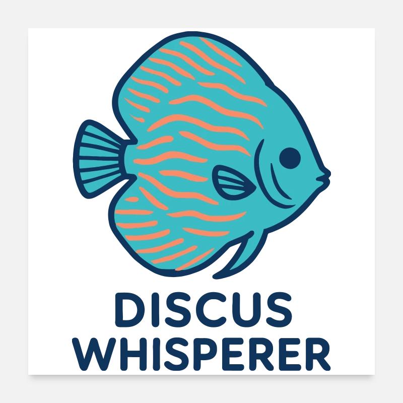 Passionate about Blue and Orange Discus Fish Poster 24" x 24" (60x60 cm)