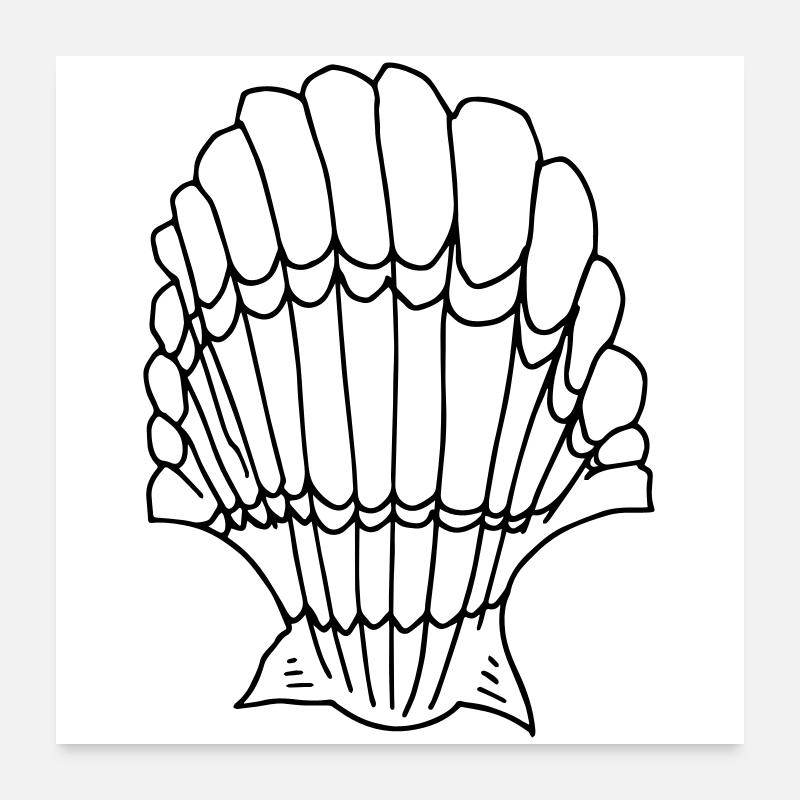 coquille Poster 60 x 60 cm