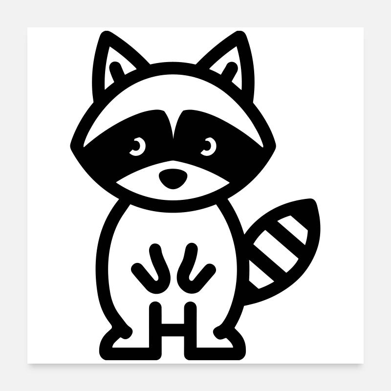 Waschbär Poster 60x60 cm
