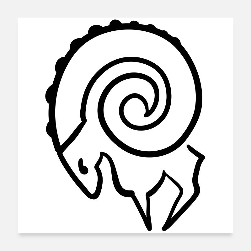 widder Poster 60x60 cm