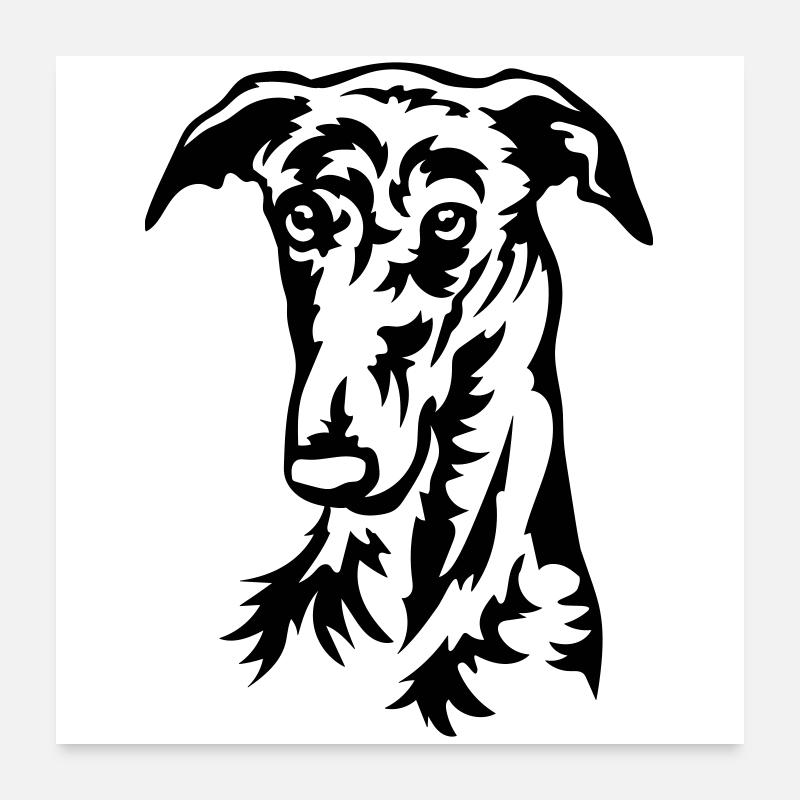 Galgo Head Poster 24" x 24" (60x60 cm)