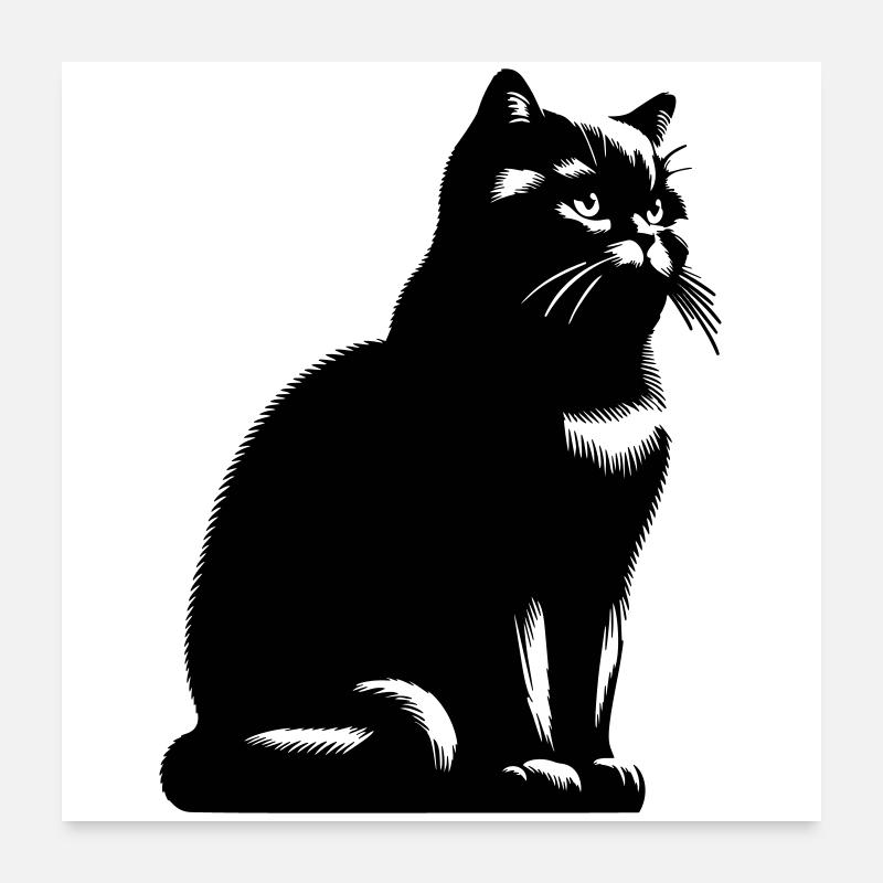 Britisch Kurzhaar Katze Poster 60x60 cm