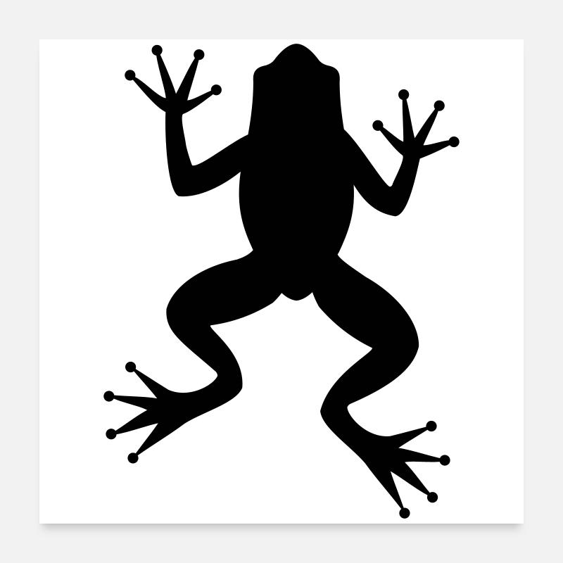 Grenouille crapaud Poster 60 x 60 cm