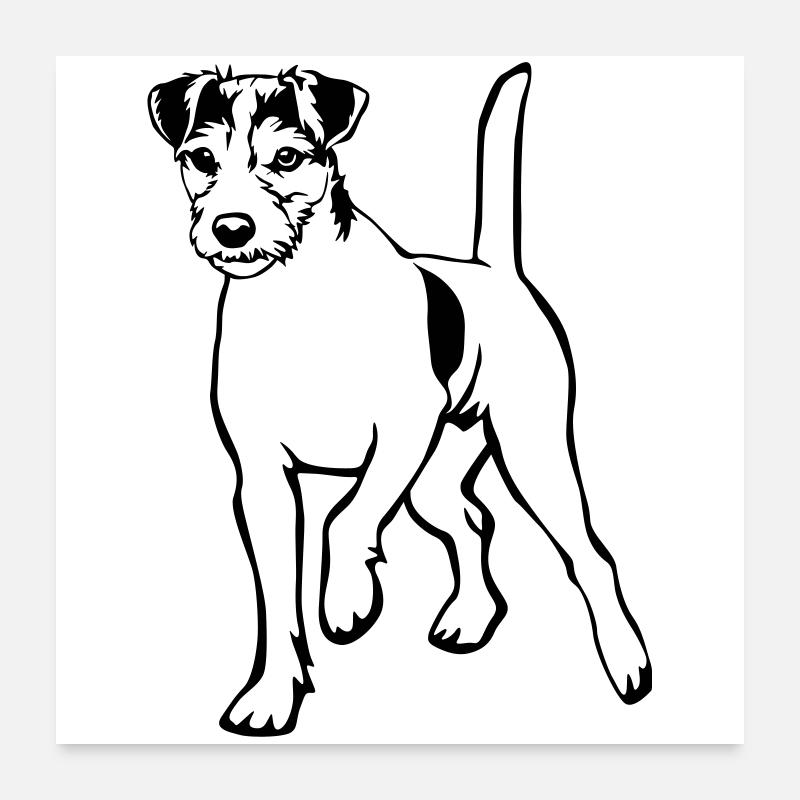 Parson Russell Terrier - Poster 24" x 24" (60x60 cm) - white