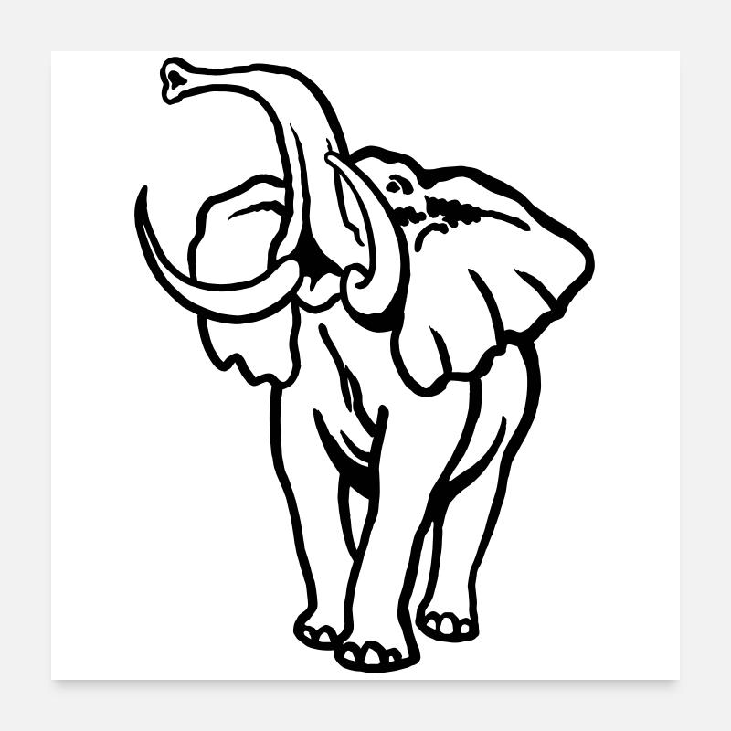 Afrika-Elefant I Bulle Poster 60x60 cm