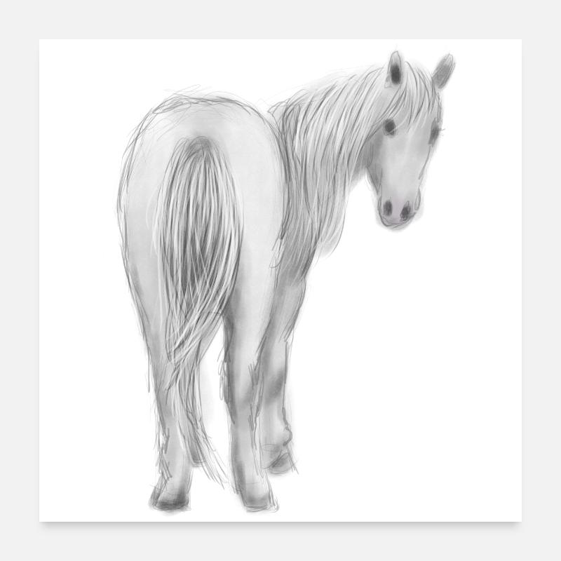 Pferd - Poster 60x60 cm - Weiß