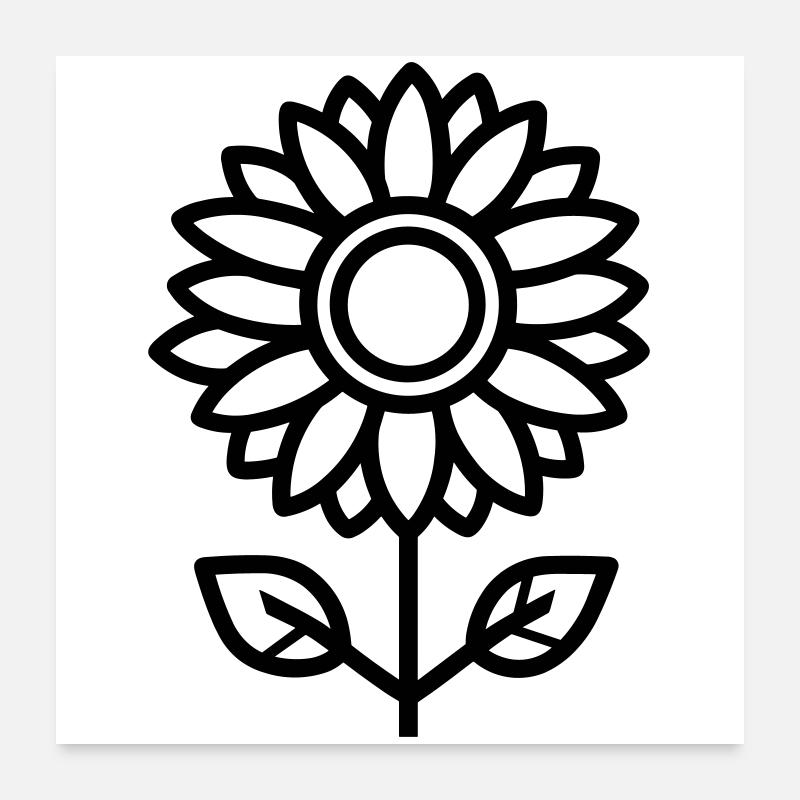 Sonnenblume Poster 60x60 cm