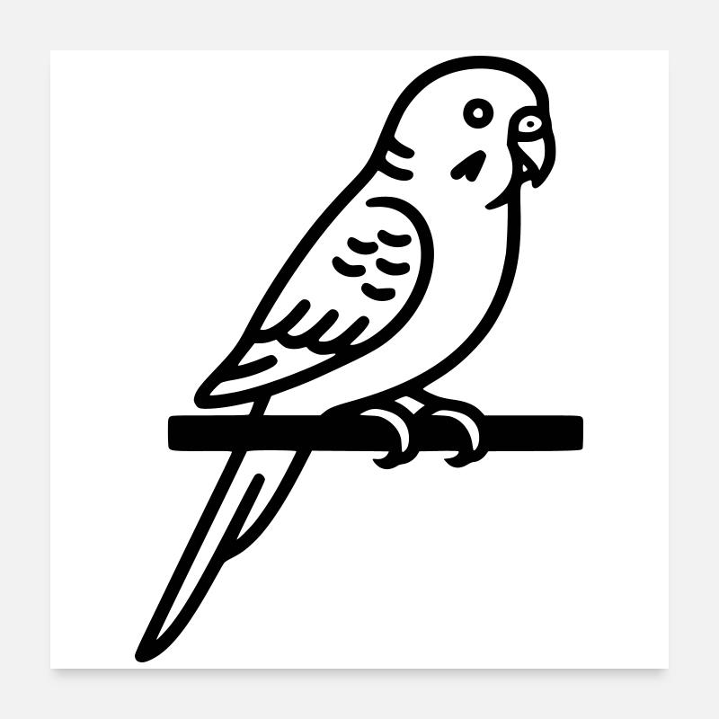 Perruche Animal de compagnie Poster 60 x 60 cm