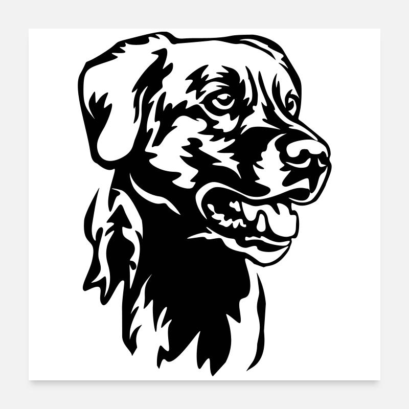Labrador Head Poster 24" x 24" (60x60 cm)