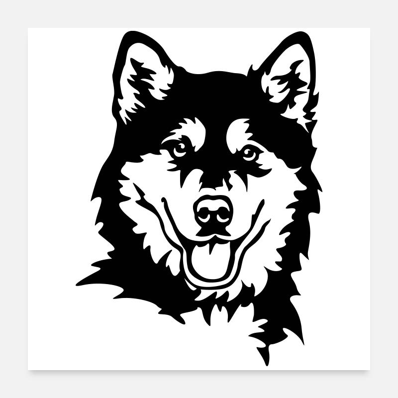 Tête de Malamute d’Alaska Poster 60 x 60 cm