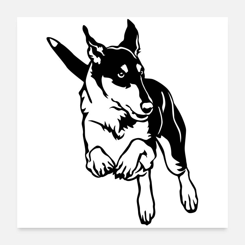 Collie Poster 24" x 24" (60x60 cm)