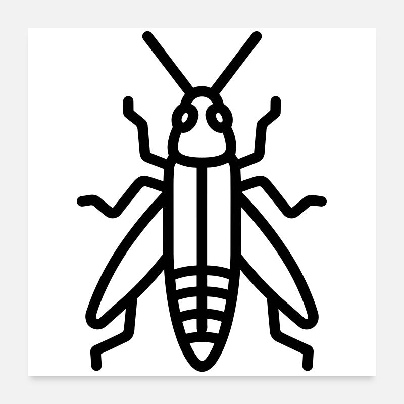 grasshopper Poster 24" x 24" (60x60 cm)
