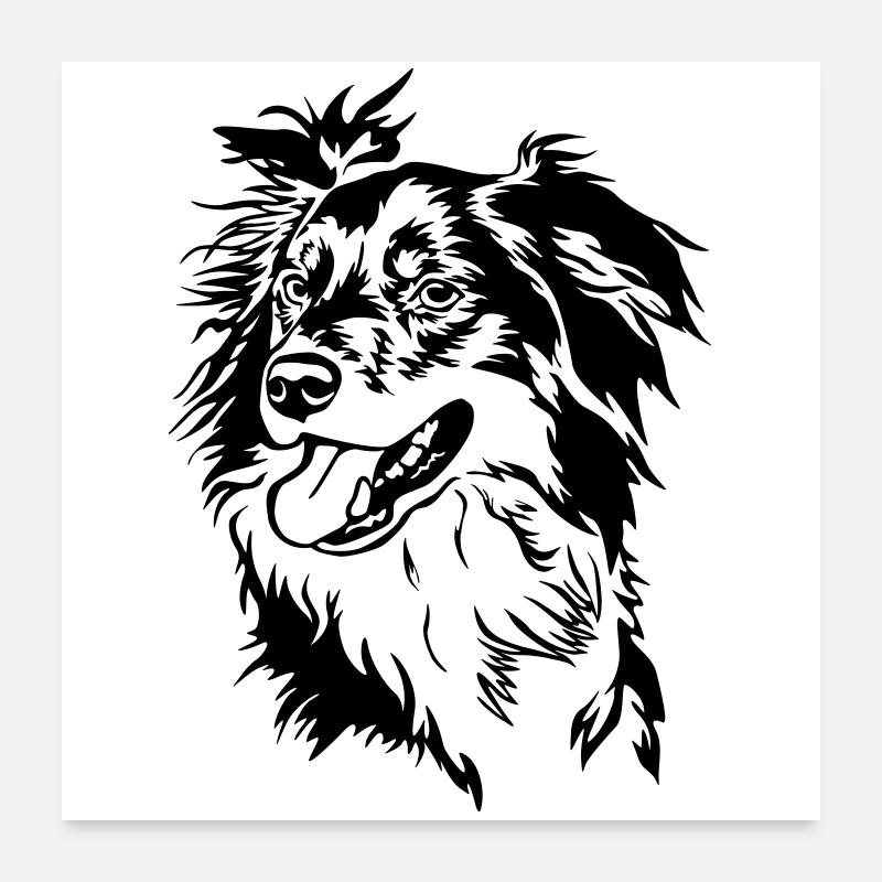 Border Collie head Poster 24" x 24" (60x60 cm)