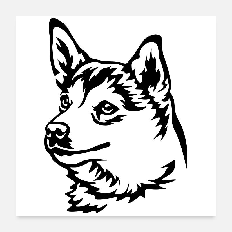 Norwegian Lundehund Head Poster 24" x 24" (60x60 cm)