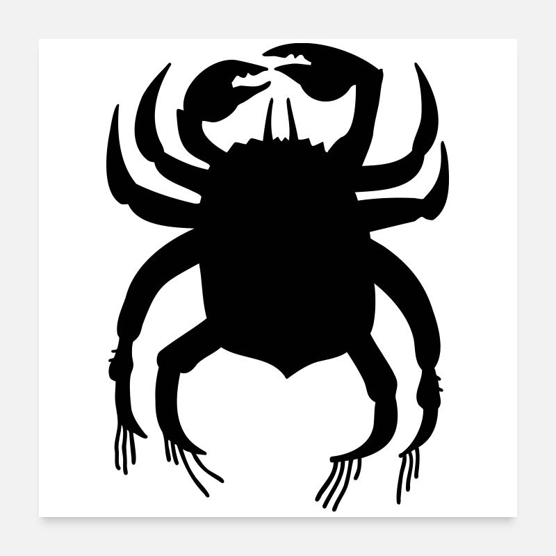 Krabbe - Poster 60x60 cm - Weiß