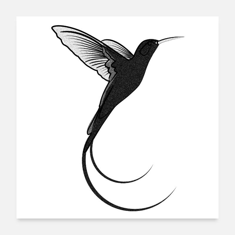 Colibri design sable noir Poster 60 x 60 cm