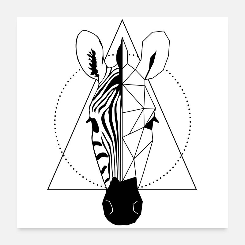 Zèbre Poster 60 x 60 cm
