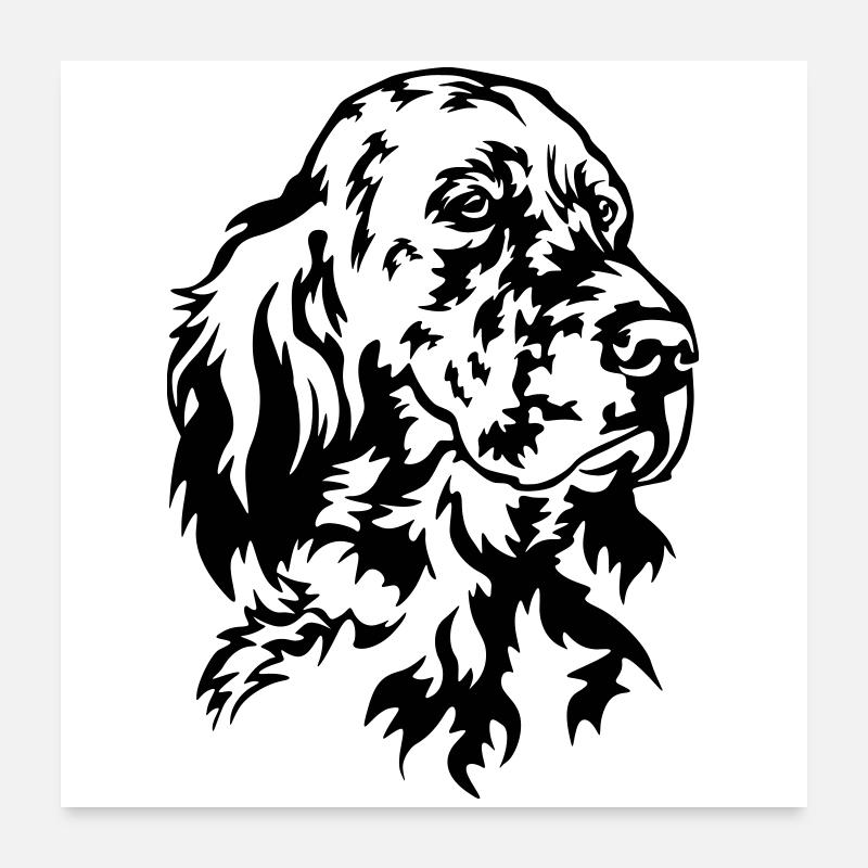 Englischer Setter Kopf - Poster 60x60 cm - Weiß