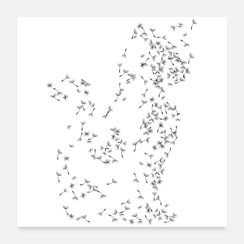 Pissenlit de chat Pissenlit Poster 60 x 60 cm