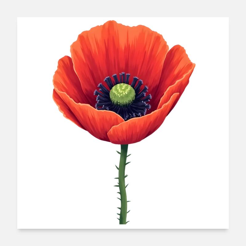 Corn poppy Poster 24" x 24" (60x60 cm)