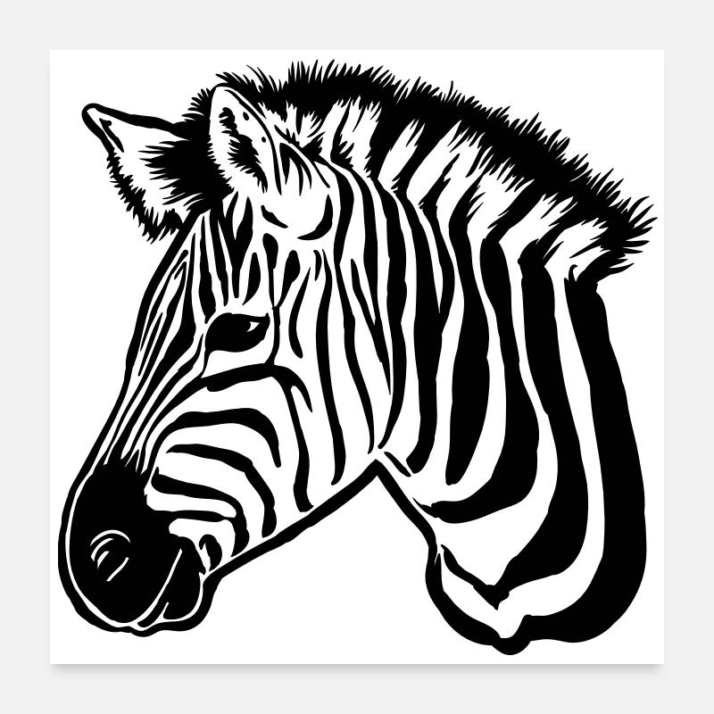 zebra dark - Poster 60x60 cm - Weiß