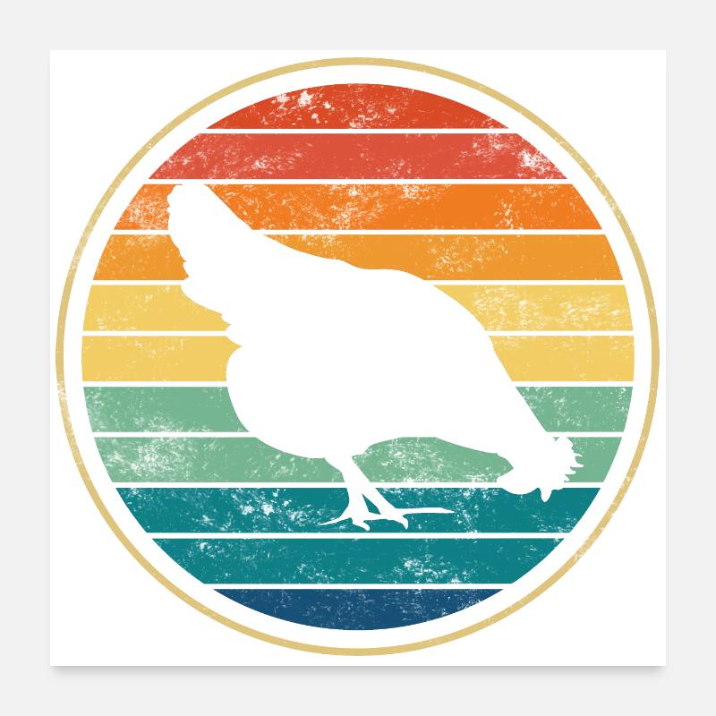 Poulet poules Poster 60 x 60 cm