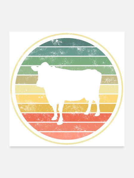 Cow cows - Poster 24" x 24" (60x60 cm) - white - Front