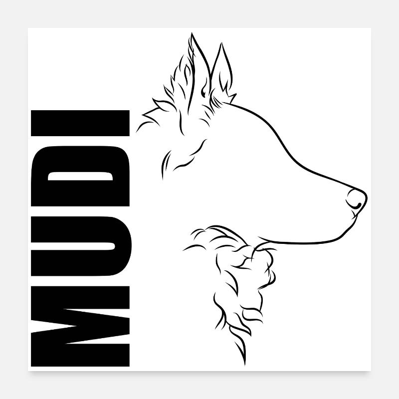 Mudi Profil Hunde Hund Wilsigns Poster 60x60 cm
