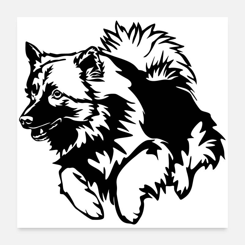 Wolfsspitz - Poster 60x60 cm - Weiß