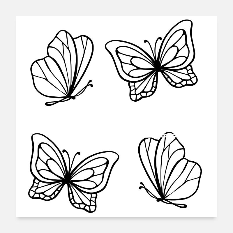 Springtime: Delicate Lineart Butterflies Poster 24" x 24" (60x60 cm)