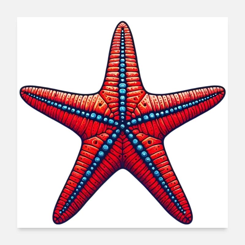 Étoile de mer Poster 60 x 60 cm