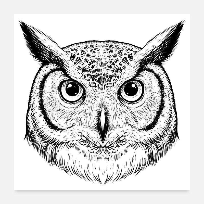Eule Poster 60x60 cm