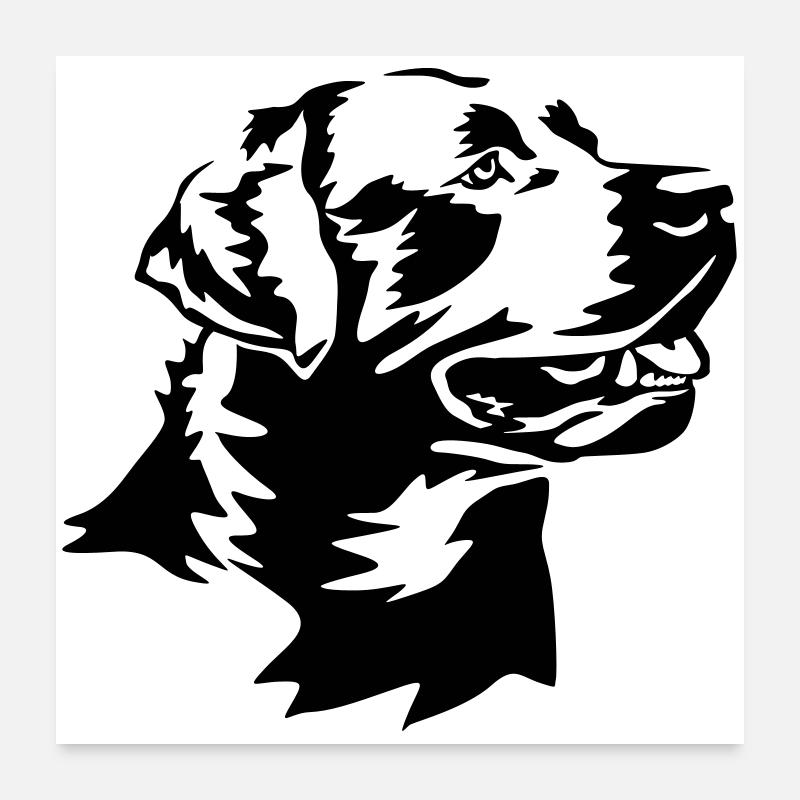 Tête de Labrador Poster 60 x 60 cm