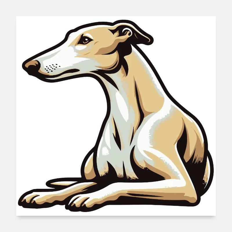 Windhund Poster 60x60 cm