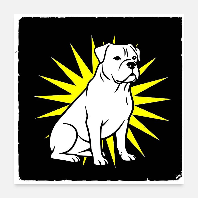 Cool Dog dans le style Punk Rock & Pop Art Poster 60 x 60 cm