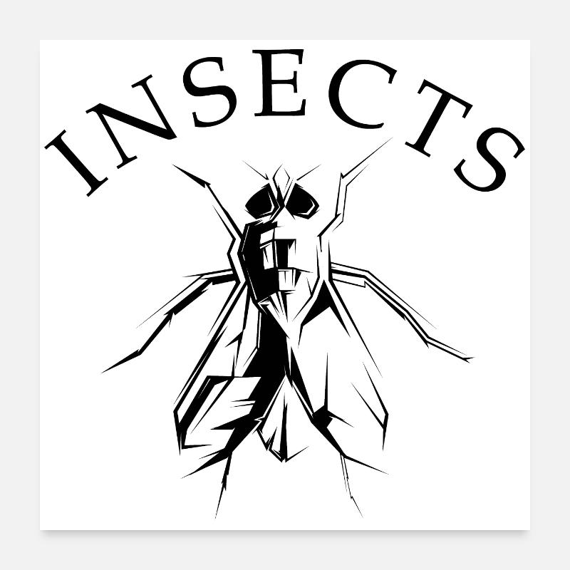 Insectes insectes symbole illustration mouche graphique Poster 60 x 60 cm