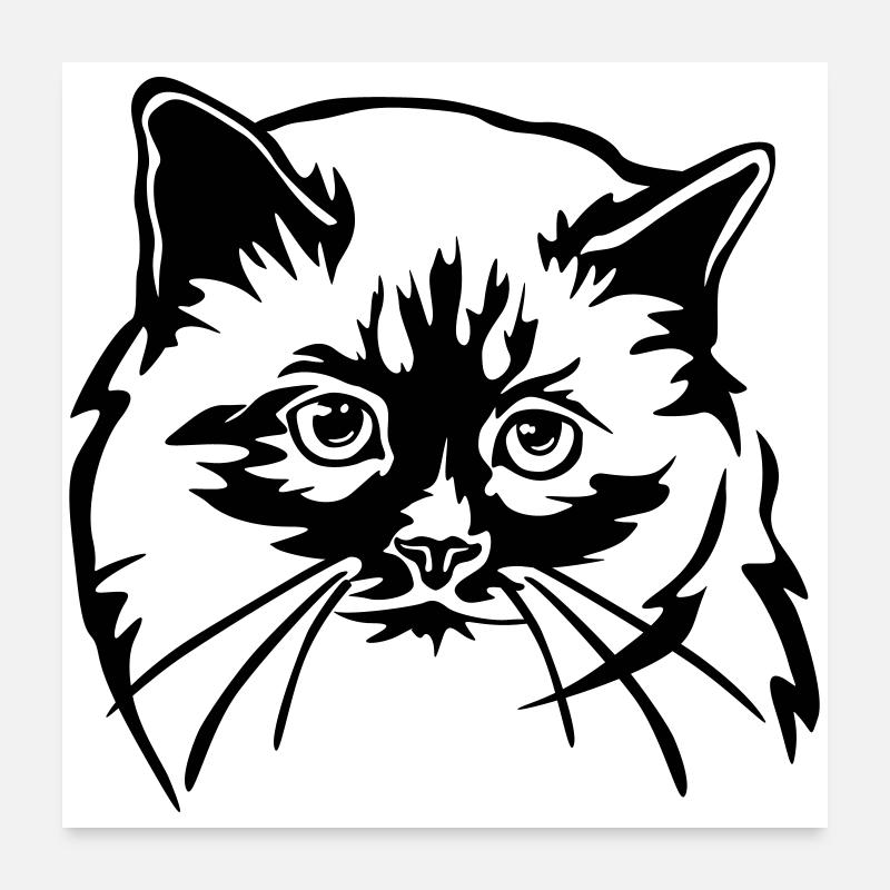Birman Cat Poster 24" x 24" (60x60 cm)