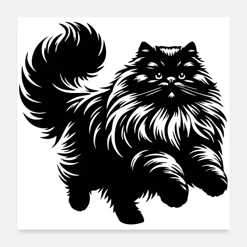 Chat persan - Persan Poster 60 x 60 cm