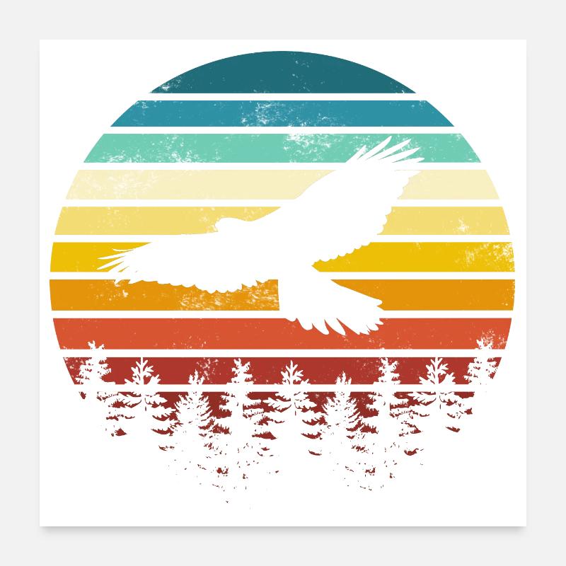 Vogel Adler - Poster 60x60 cm - Weiß