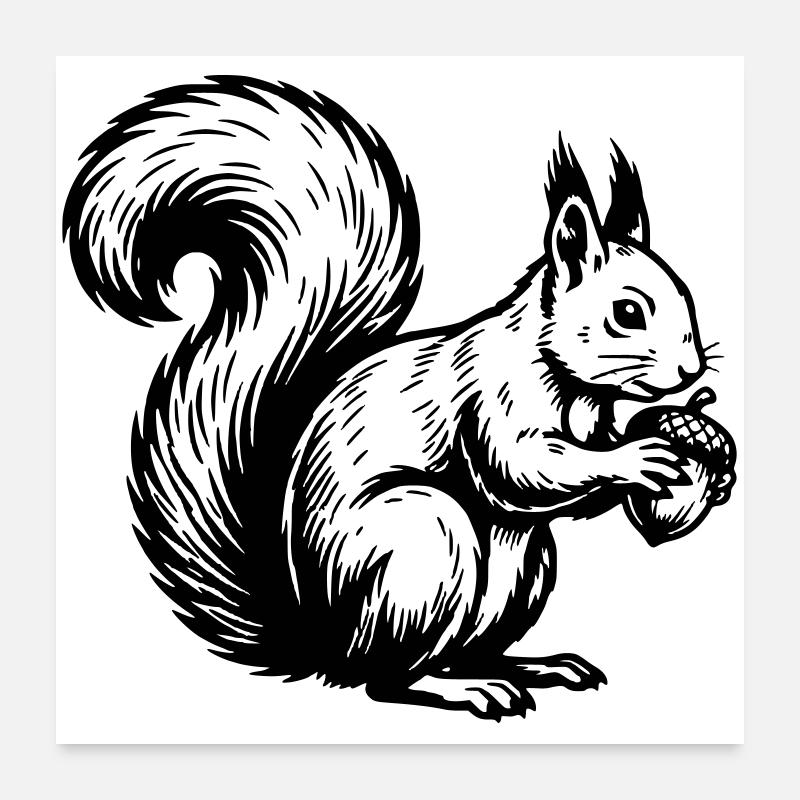 Eichhörnchen Poster 60x60 cm