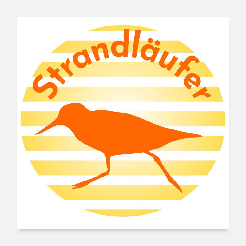 Strandläufer - Poster 60x60 cm - Weiß