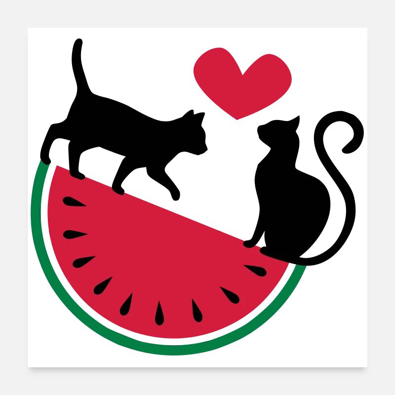 Melon Cat Love - Poster 60x60 cm - Weiß