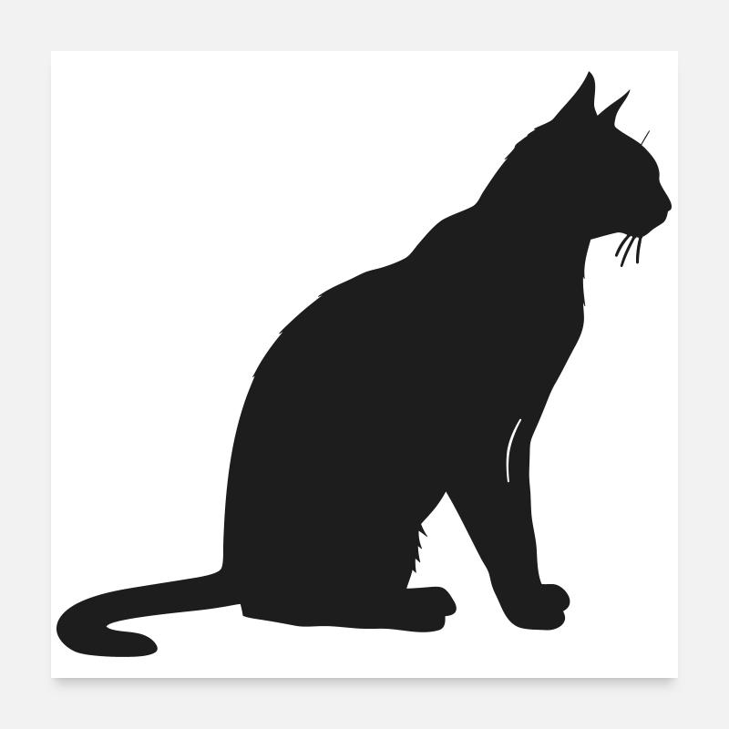 Elegante Silhouette einer Katze - Poster 60x60 cm - Weiß