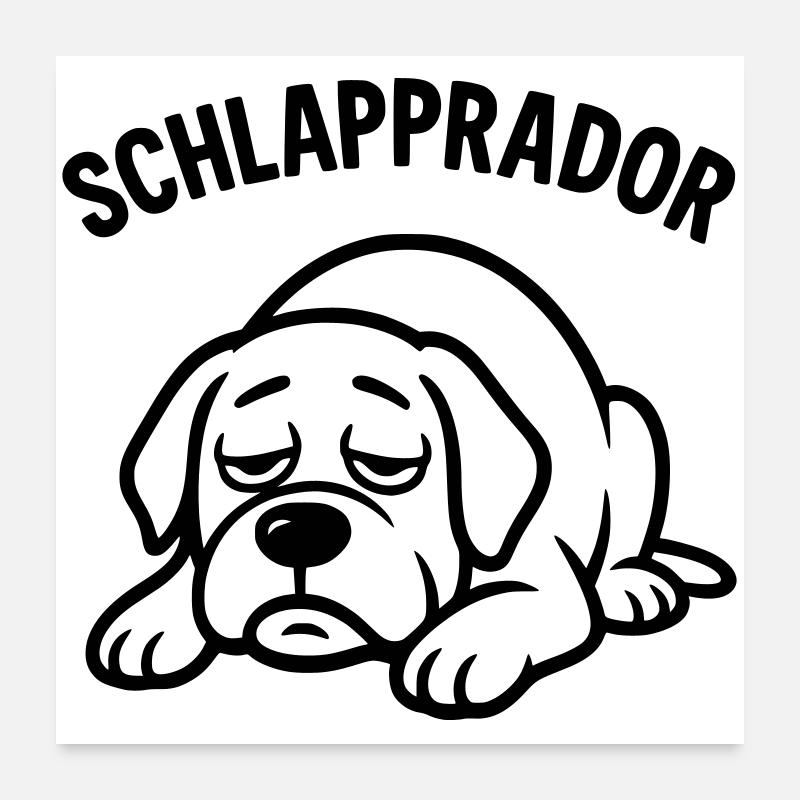 schlapprador labrador Poster 60x60 cm