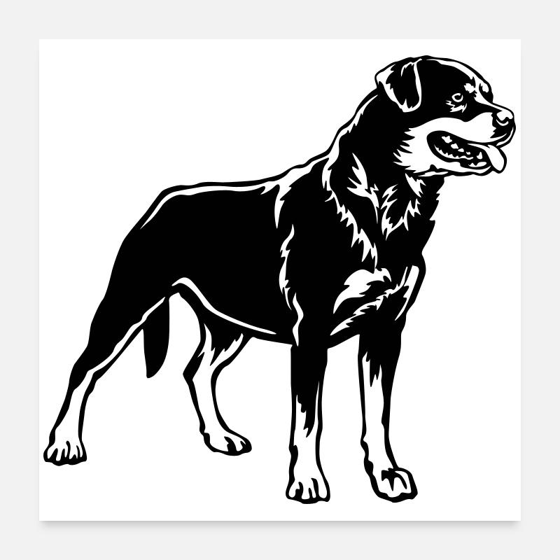 Rottweiler Poster 60 x 60 cm